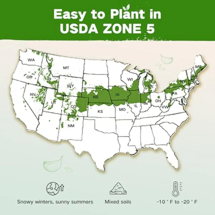 LushandDew Year-Round Seed Bank 2 Varieties Non-GMO Heirloom Seeds of Vegetables Herbs Gardening Gifts for Women Men Emergency