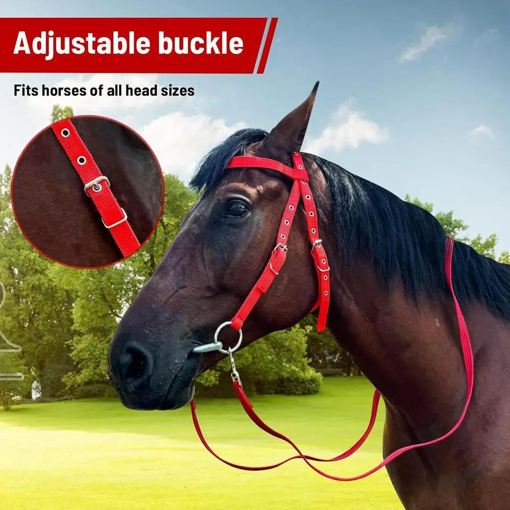 Brida para Caballo Ajustable con Filete y Muserola | Nylon Suave | Ecuestre 🐎