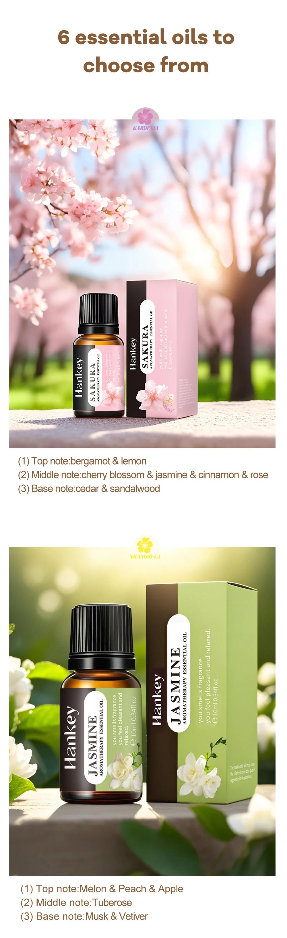 Difusor Aromaterapia 180ml | Humidificador LED 7 Colores | Auto y Hogar 🌿