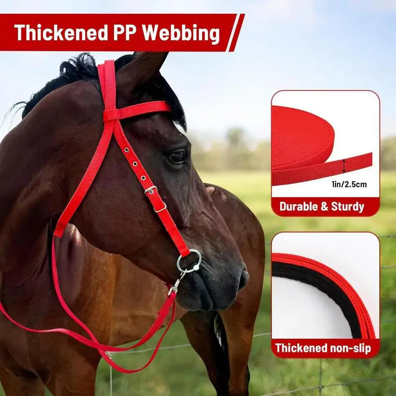 Brida para Caballo Ajustable con Filete y Muserola | Nylon Suave | Ecuestre 🐎