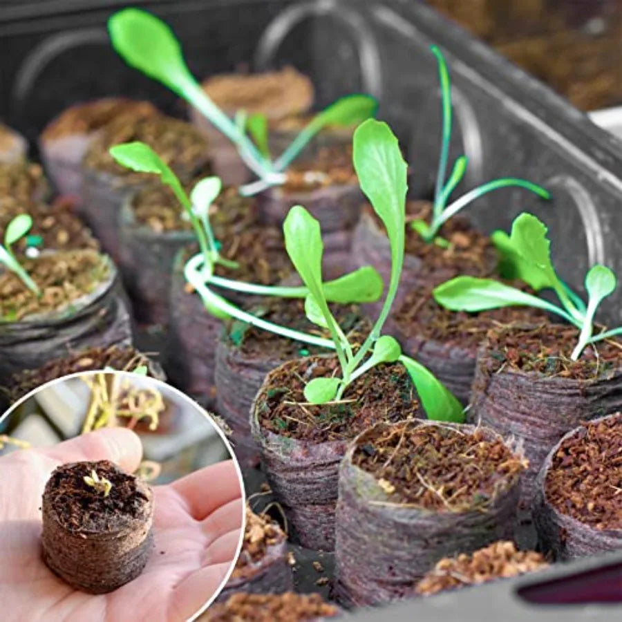 500 Pcs Peat Pellet Fiber Soil Plant Seed Starters - Seed Starter Pellets Pods Compressed Peat Pellets for Grow Herbs Plant Flo