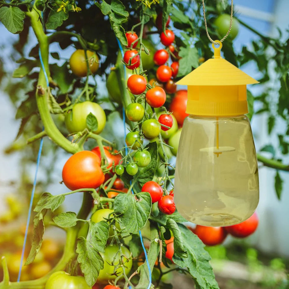 Fruit Fly Trap Killer Fruit Fly Catcher with Hanging Hole Fruit Fly Mosquito Trap for Orchard Insect Trap Pest Control