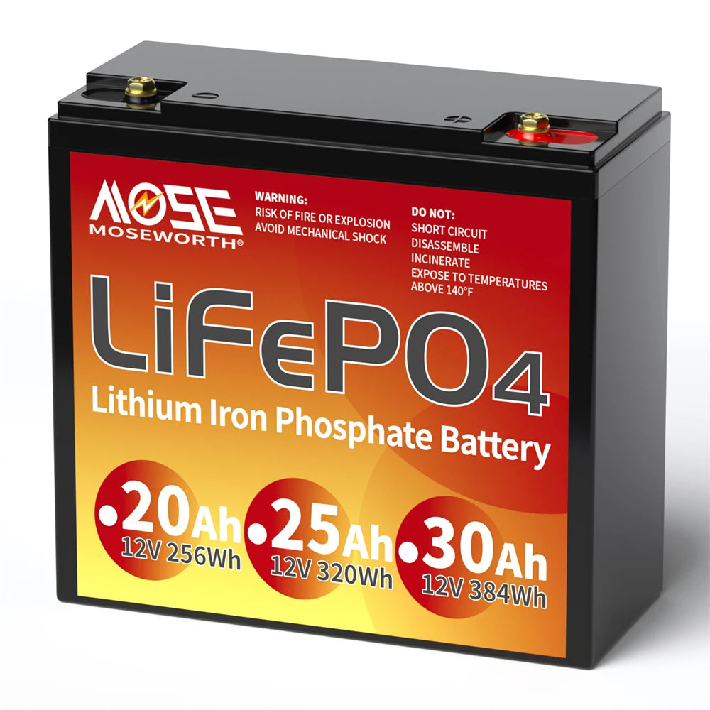 Batería LiFePO4 12V 6Ah-300Ah con BMS | Recargable | Solar y Ciclo Profundo 🔋