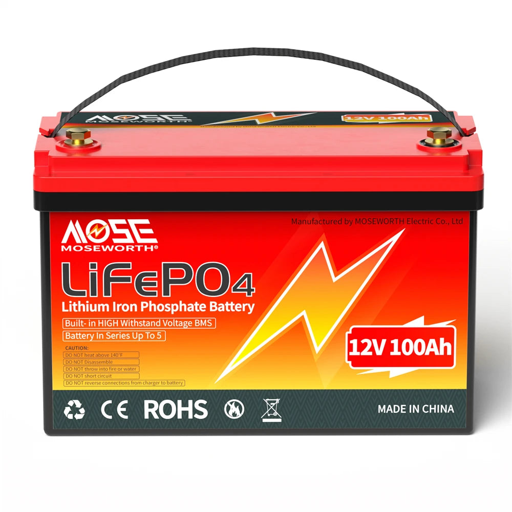 Batería LiFePO4 12V 6Ah-300Ah con BMS | Recargable | Solar y Ciclo Profundo 🔋