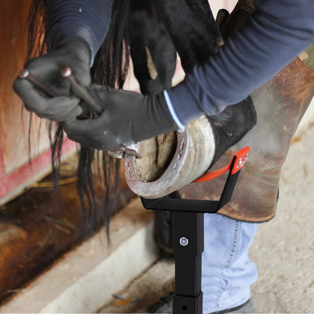 Soporte Ajustable para Herrador de Caballos | Instrumento Veterinario | Casco 🐎