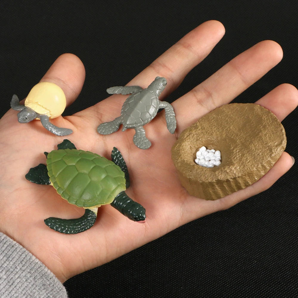 Animal Life Cycle Children Toys Simulation Plant Model Montessori Teaching Aids Animal Growth Cycle Model Set Cognitive Toy