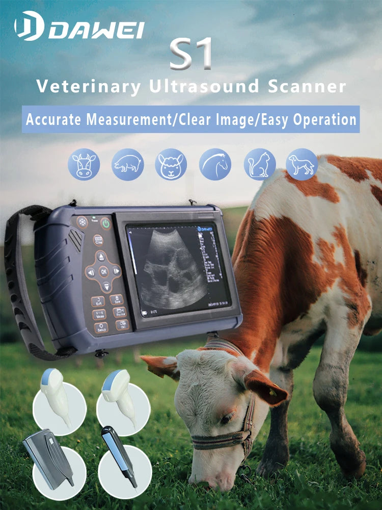 Escáner de Ultrasonido Veterinario Portátil | Embarazo | Cerdo, Oveja, Caballo 🐄