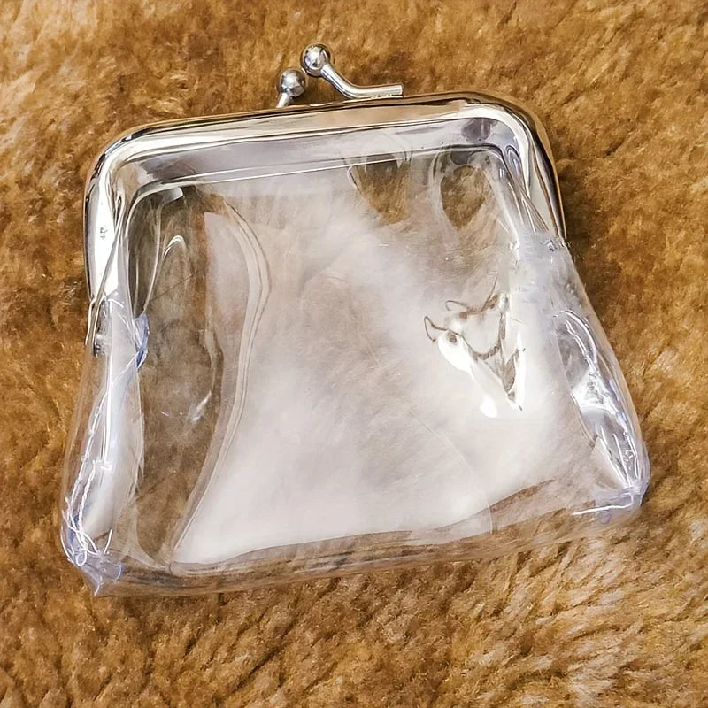 1PC Transparent Mini Coin Purse-Portable Mini Makeup Pouch Headphone Bag Travel Cosmetic Organizer