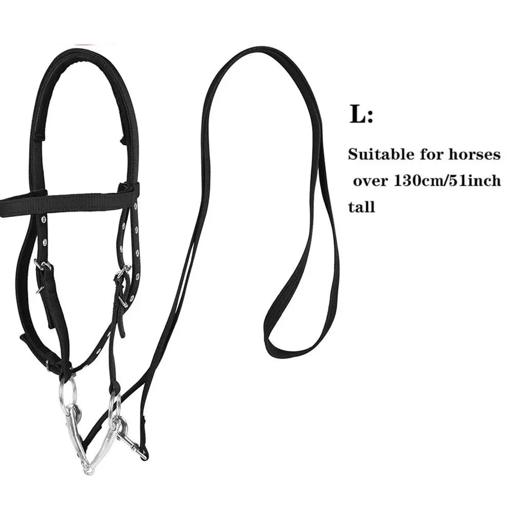 Halter Ajustable para Caballo con 3 Hebillas | Cabezada y Cuerda de Guía 🐎