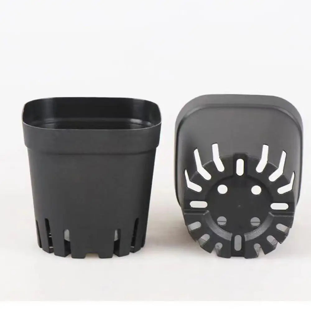 Seedling Pots 50Pcs Square Plant Seeding- Planting Cup Plastic Deep Nursery Tree Pot Flower Plant Container Pot Garden Grow