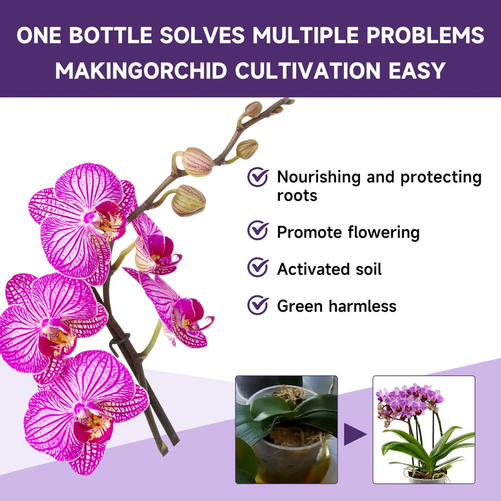 50ml Orchid Special Liquid Flower Fertilizer Hydroponic Garden Plant Nutrition Growth Supplement Compound Nutrients for Flowers