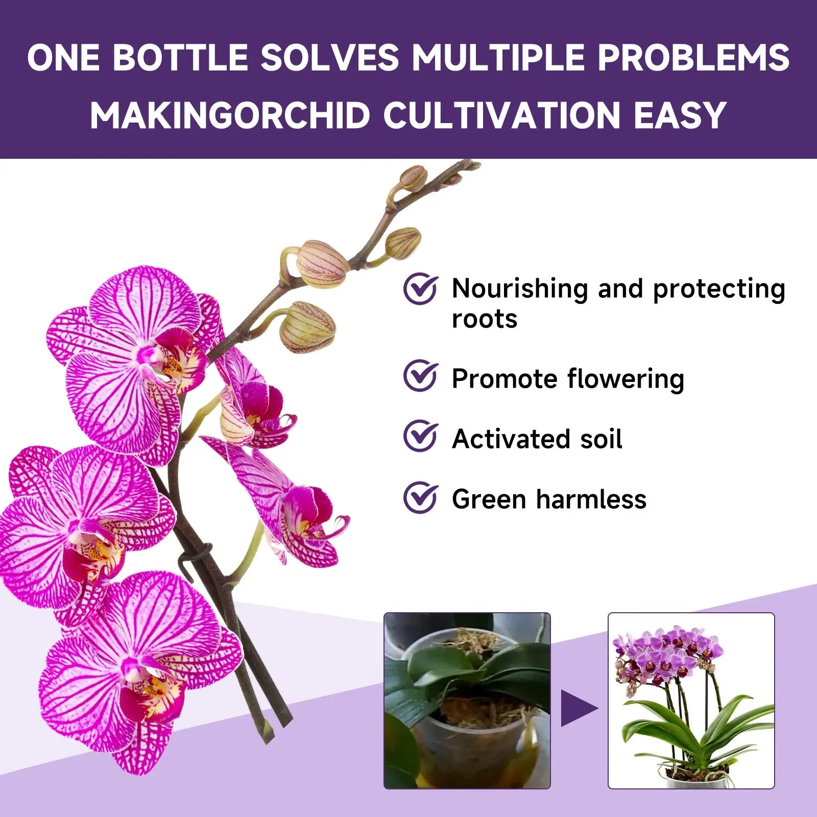 50ml Orchid Special Liquid Flower Fertilizer Hydroponic Garden Plant Nutrition Growth Supplement Compound Nutrients for Flowers