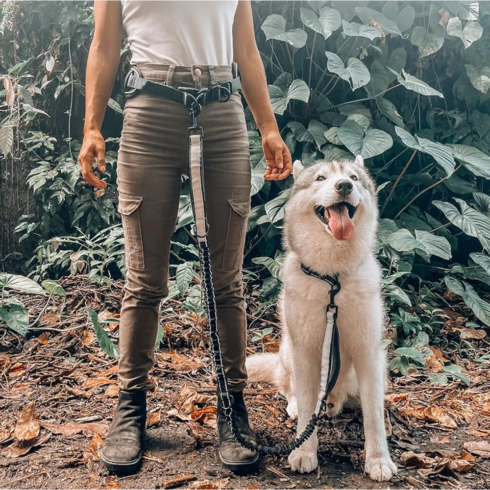 Correa para Perro Manos Libres con Cinturón Lumbar | Extensible | Reflectante 🐕