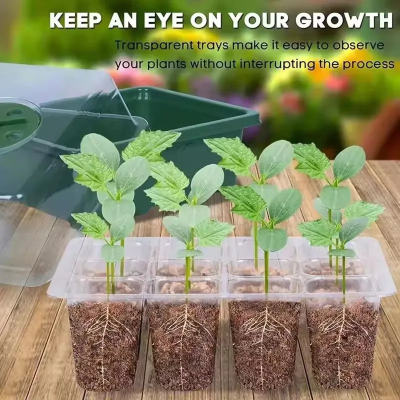 Seed Starter Kits Seedling Starter Trays (12 Cells per Tray) Humidity Adjustable Plant Germination Kits Garden Seed Starting Tra