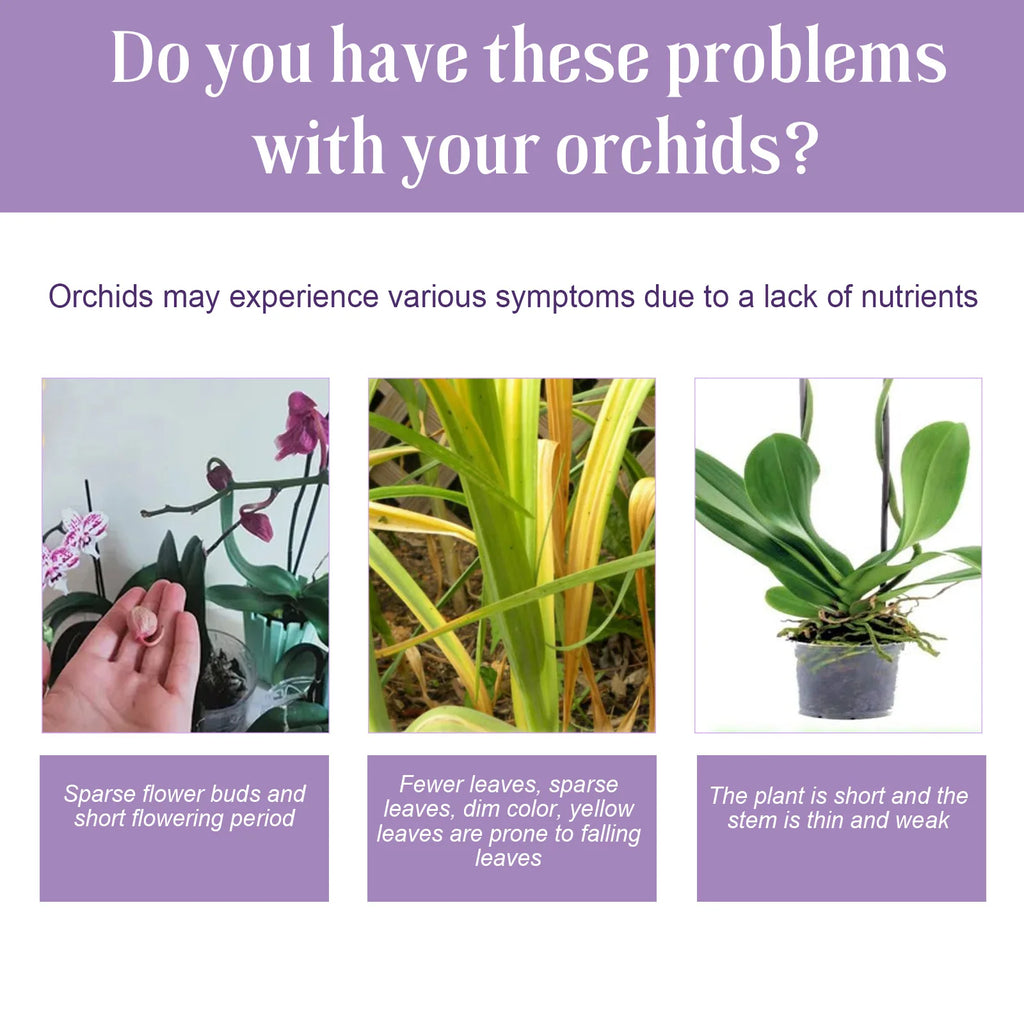 50ml Orchid Special Liquid Flower Fertilizer Hydroponic Garden Plant Nutrition Growth Supplement Compound Nutrients for Flowers