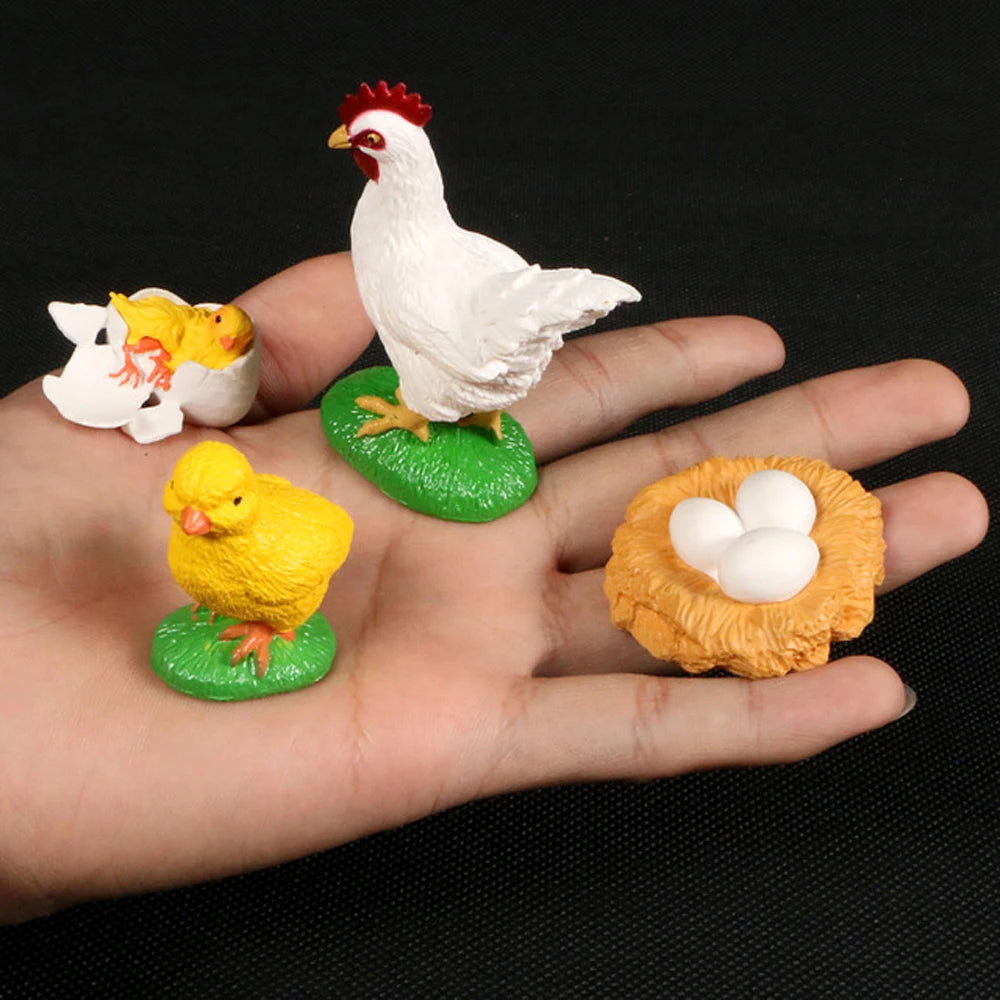 Animal Life Cycle Children Toys Simulation Plant Model Montessori Teaching Aids Animal Growth Cycle Model Set Cognitive Toy