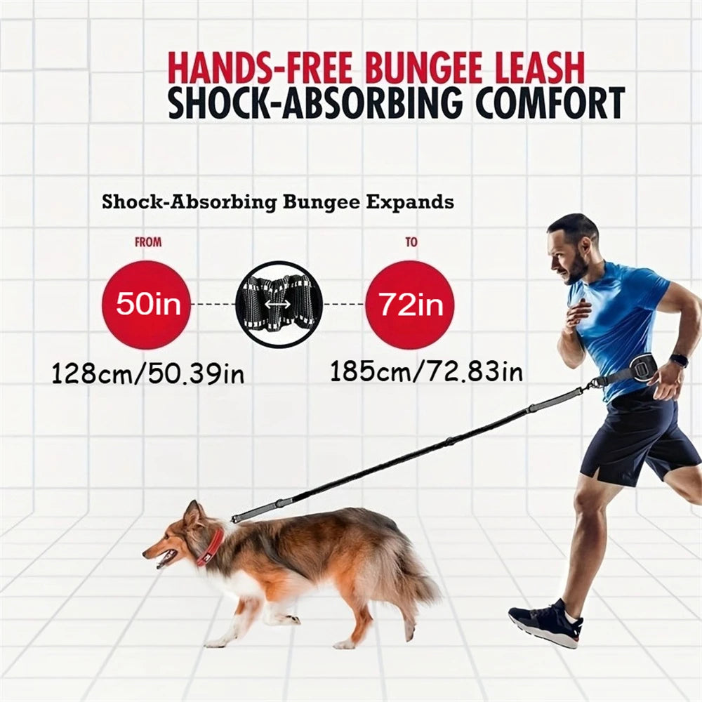 Correa para Perro Manos Libres con Cinturón Lumbar | Extensible | Reflectante 🐕