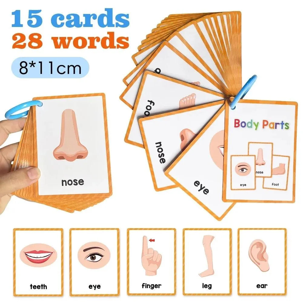 15 Cards Children Body Parts Cognitive Card Montessori toys Flash Cards for kid Education Enlightenment  English learning  Card