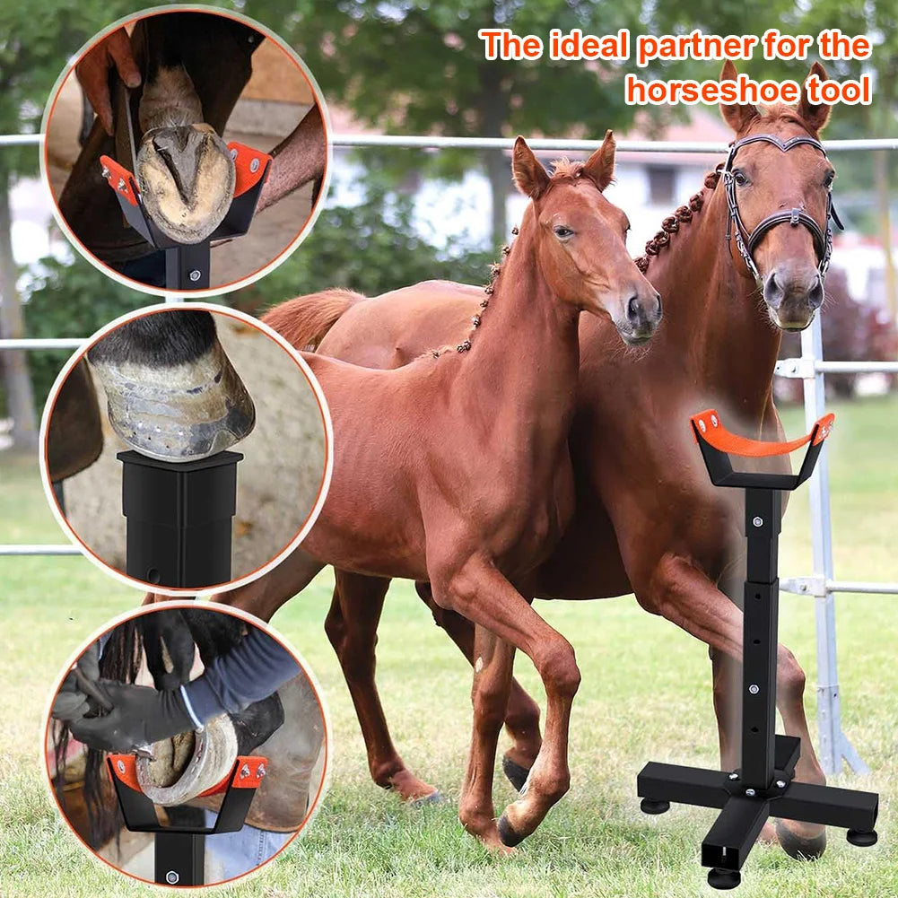 Soporte Ajustable para Herrador de Caballos | Instrumento Veterinario | Casco 🐎