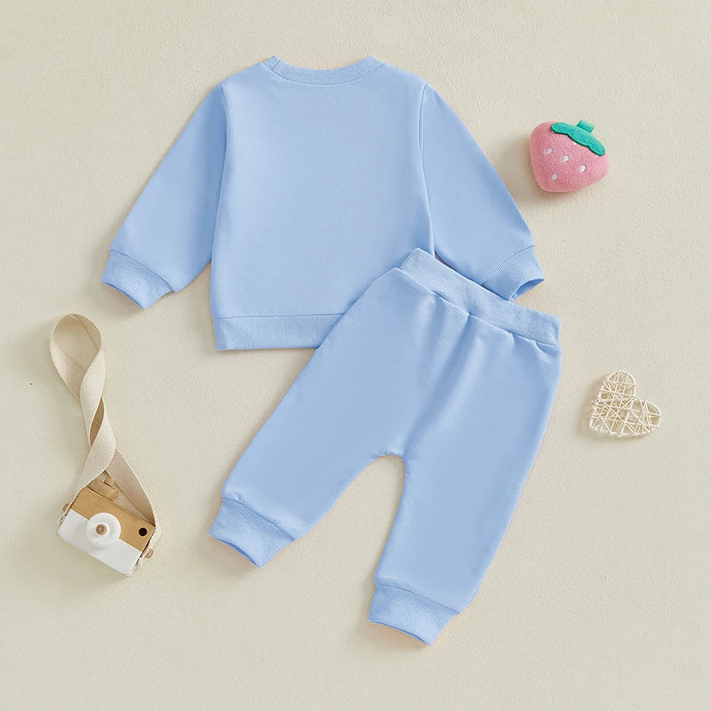 Cute Toddler Girl Autumn Ensemble Adorable Strawberry Embroidered Crew Neck Sweatshirt with Matching Long Pants 2-Piece Set