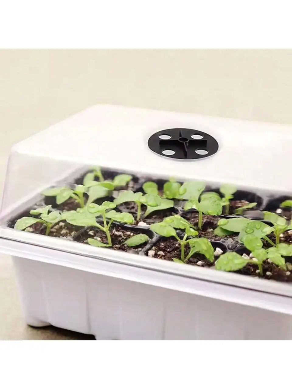 Seed Starter Kits Seedling Starter Trays (12 Cells per Tray) Humidity Adjustable Plant Germination Kits Garden Seed Starting Tra