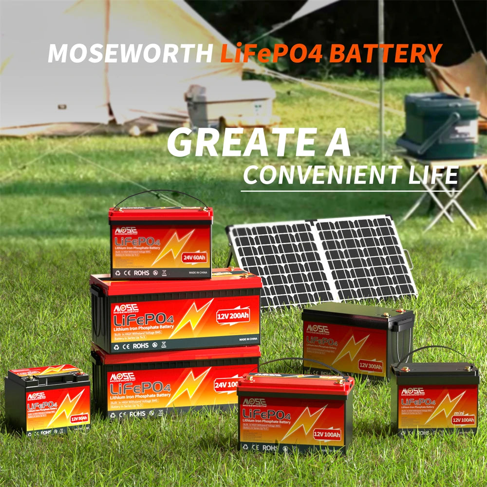 Batería LiFePO4 12V 6Ah-300Ah con BMS | Recargable | Solar y Ciclo Profundo 🔋