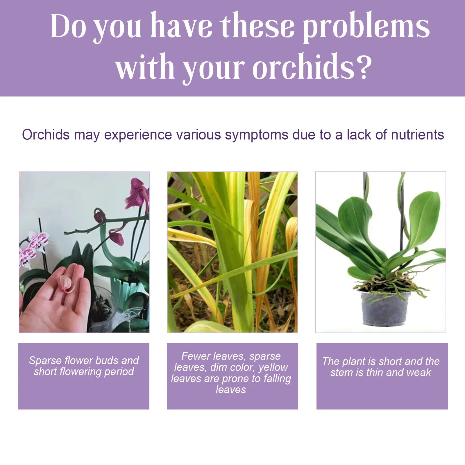 50ml Orchid Special Liquid Flower Fertilizer Hydroponic Garden Plant Nutrition Growth Supplement Compound Nutrients for Flowers