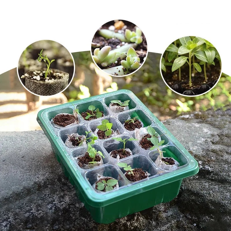 Seed Starter Kits Seedling Starter Trays (12 Cells per Tray) Humidity Adjustable Plant Germination Kits Garden Seed Starting Tra