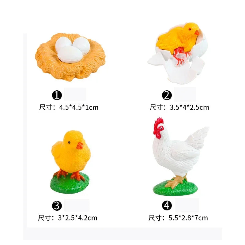 Animal Life Cycle Board Children Toys Montessori Teaching Aids Plant Animal Growth Cycle Model Set preschool cognitive Toys