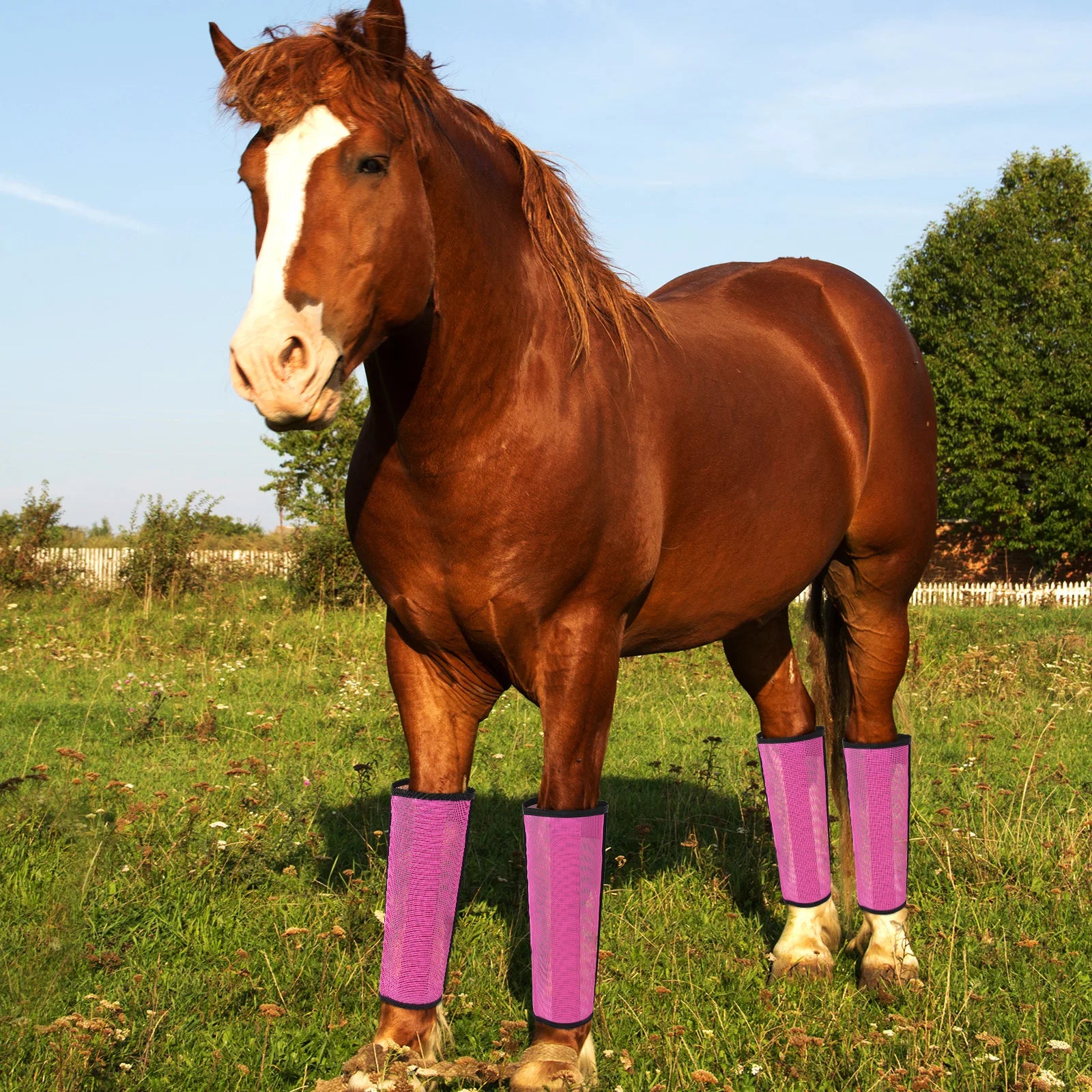 4pcs Botas Antimoscas para Patas de Caballo | Malla Transpirable | Protección 🐎