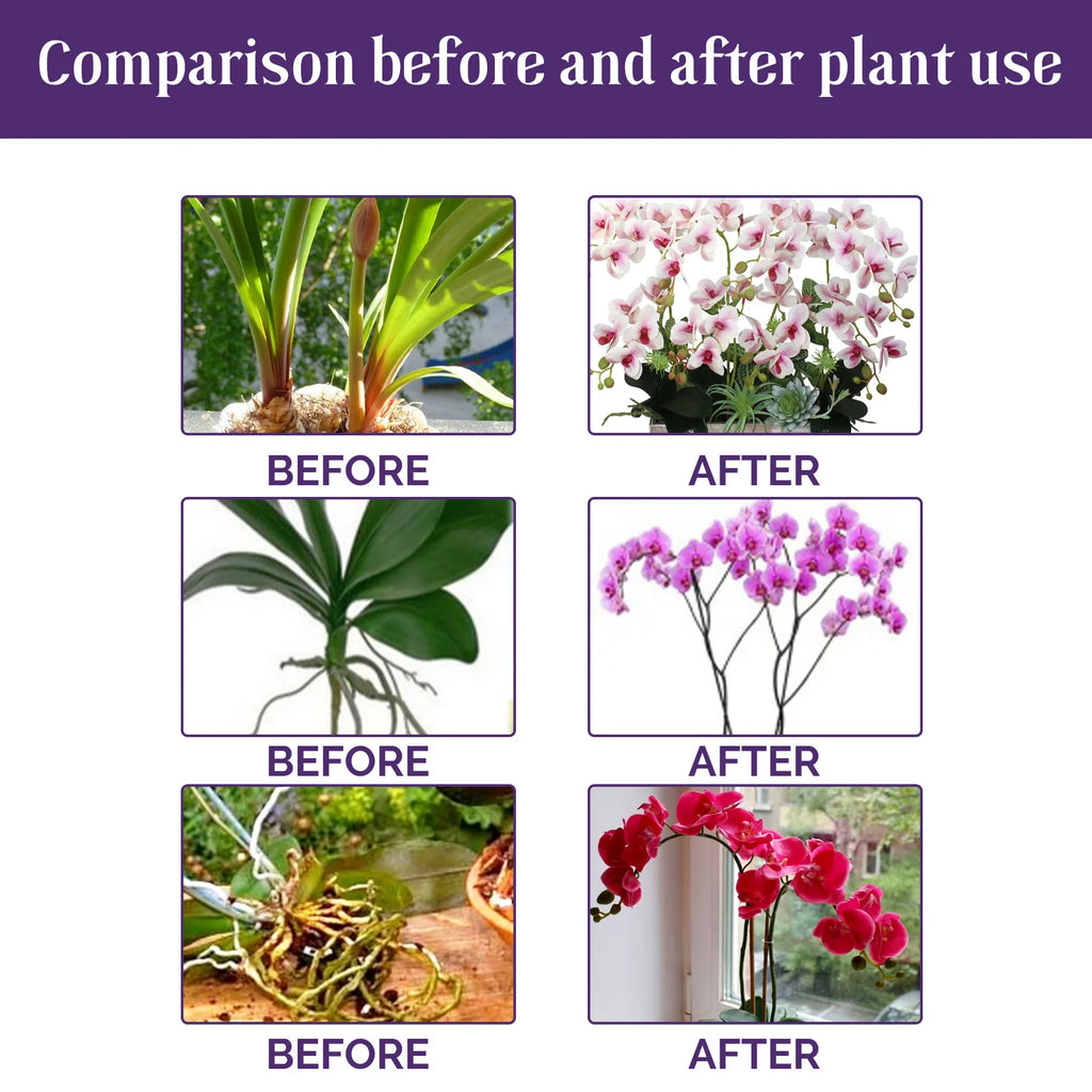 50ml Orchid Special Liquid Flower Fertilizer Hydroponic Garden Plant Nutrition Growth Supplement Compound Nutrients for Flowers