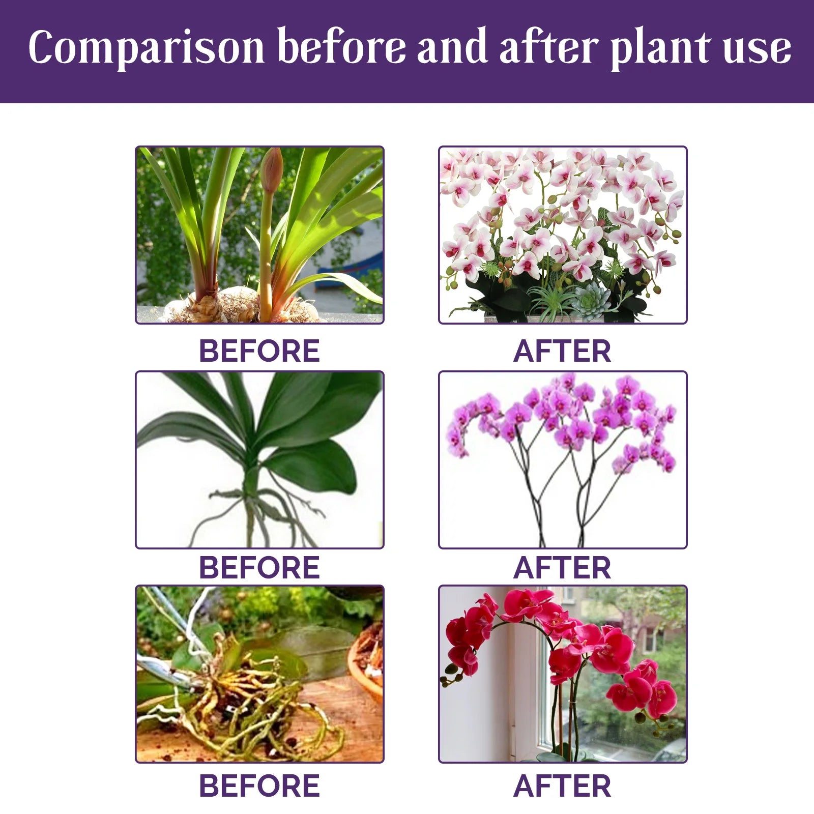 50ml Orchid Special Liquid Flower Fertilizer Hydroponic Garden Plant Nutrition Growth Supplement Compound Nutrients for Flowers