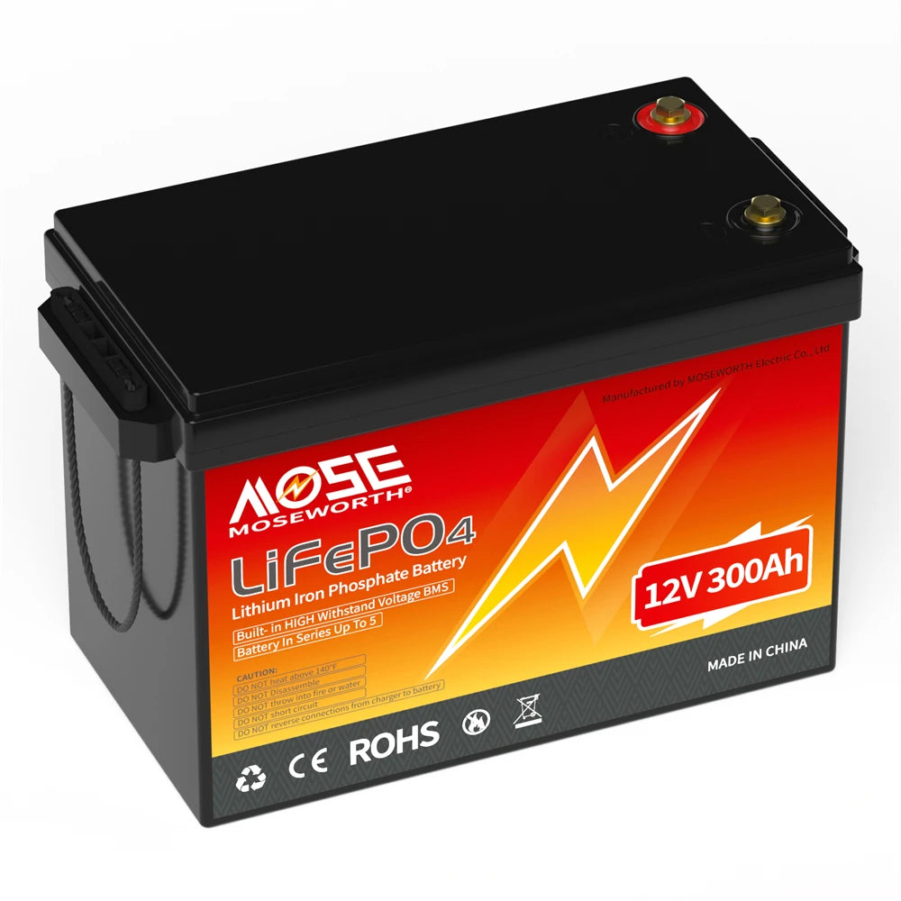 Batería LiFePO4 12V 6Ah-300Ah con BMS | Recargable | Solar y Ciclo Profundo 🔋