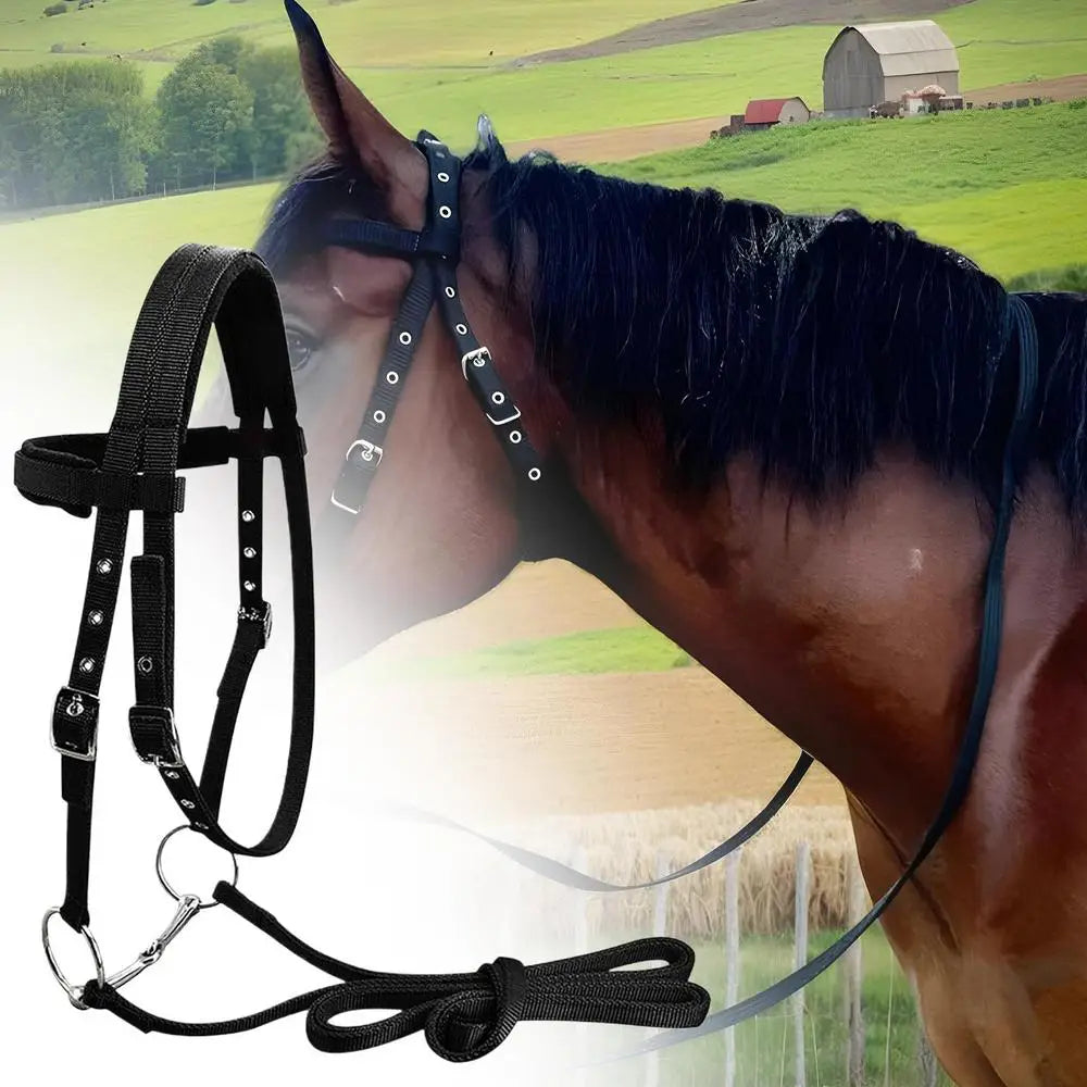 Cabezada para Caballo con 3 Hebillas Ajustables | Entrenamiento Ecuestre 🐎