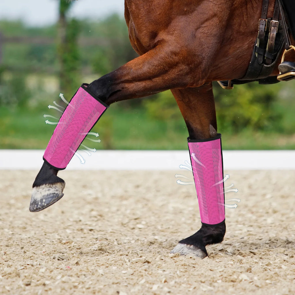 4pcs Botas Antimoscas para Patas de Caballo | Malla Transpirable | Protección 🐎