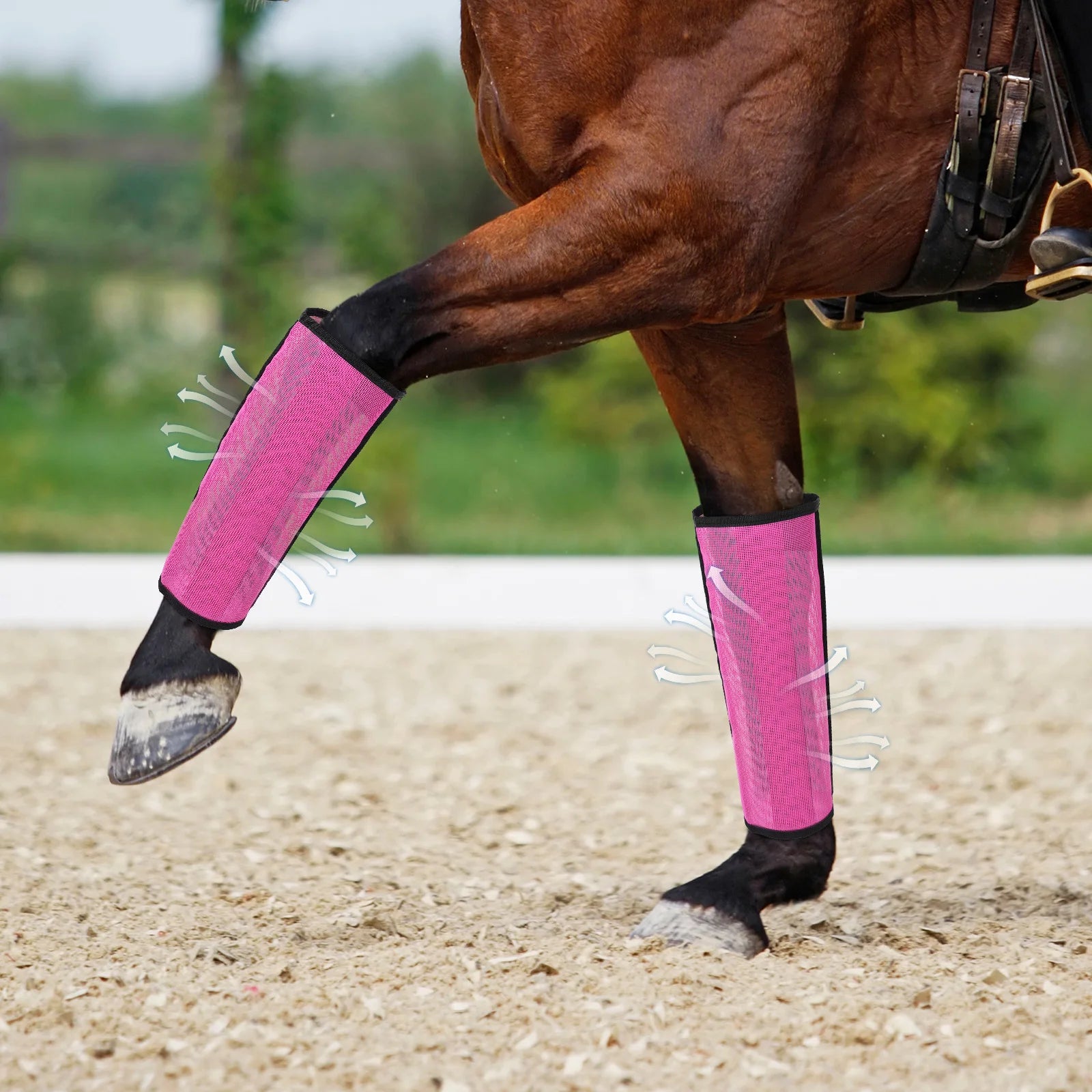 4pcs Botas Antimoscas para Patas de Caballo | Malla Transpirable | Protección 🐎