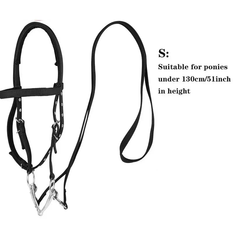 Halter Ajustable para Caballo con 3 Hebillas | Cabezada y Cuerda de Guía 🐎