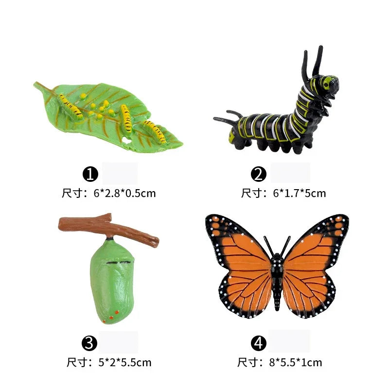 Animal Life Cycle Board Children Toys Montessori Teaching Aids Plant Animal Growth Cycle Model Set preschool cognitive Toys