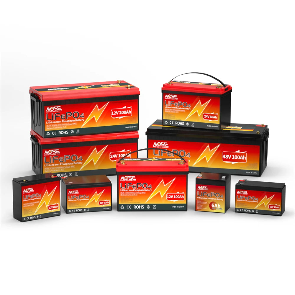 Batería LiFePO4 12V 6Ah-300Ah con BMS | Recargable | Solar y Ciclo Profundo 🔋