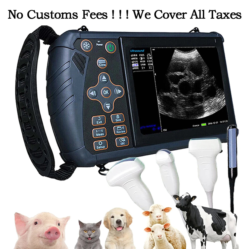 Escáner de Ultrasonido Veterinario Portátil | Embarazo | Cerdo, Oveja, Caballo 🐄