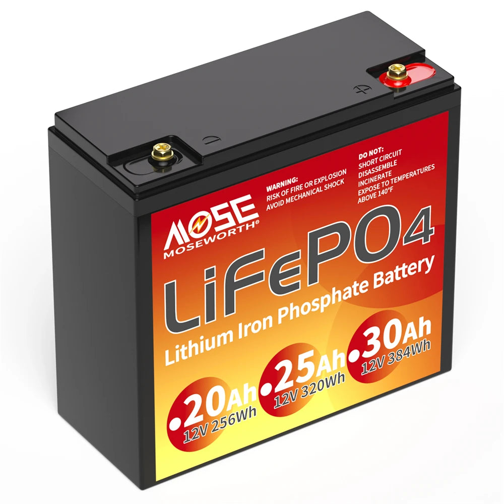 Batería LiFePO4 12V 6Ah-300Ah con BMS | Recargable | Solar y Ciclo Profundo 🔋