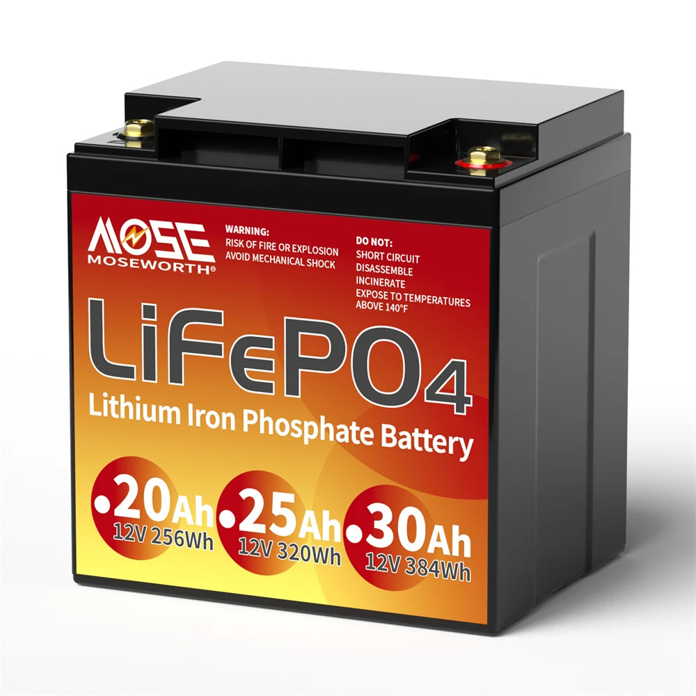 Batería LiFePO4 12V 6Ah-300Ah con BMS | Recargable | Solar y Ciclo Profundo 🔋