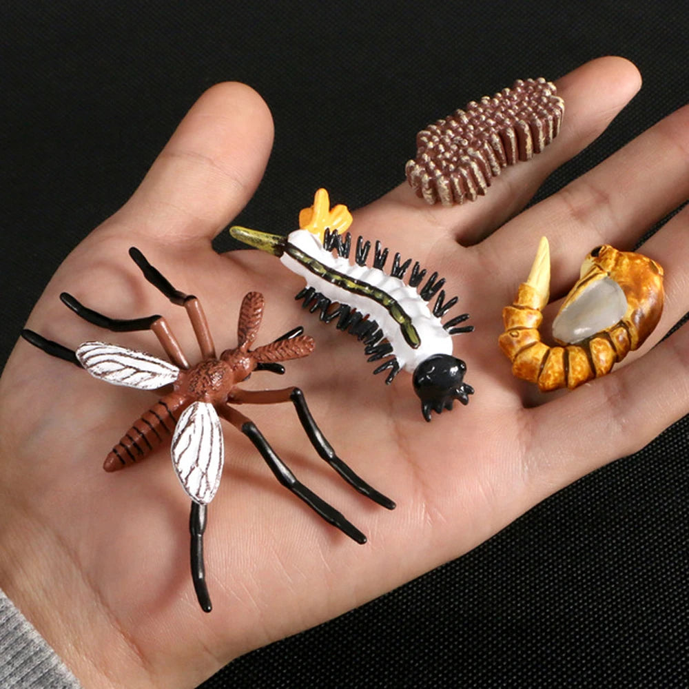 Animal Life Cycle Children Toys Simulation Plant Model Montessori Teaching Aids Animal Growth Cycle Model Set Cognitive Toy