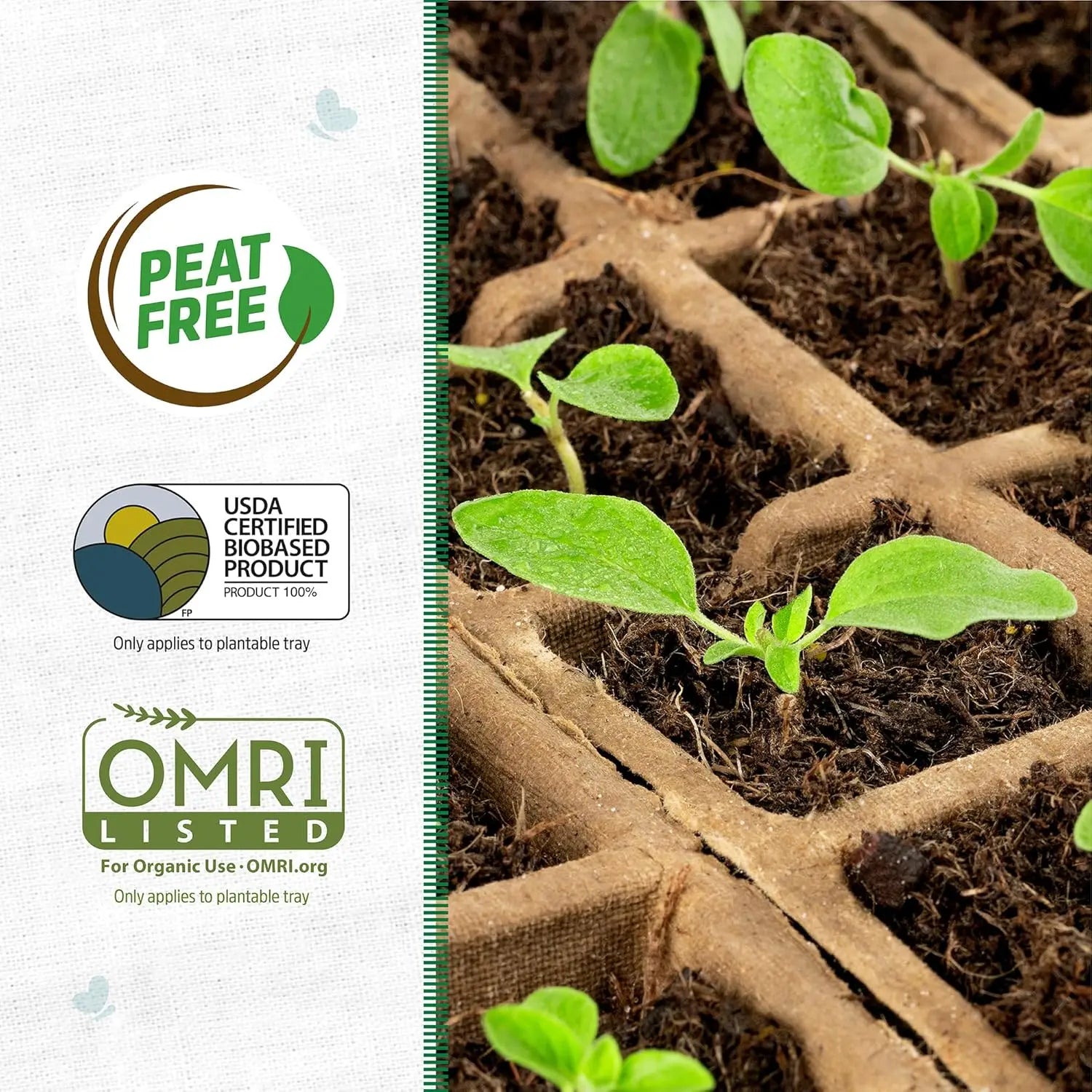 Biodegradable Seed Starter Trays, 50-Cell Peat-Free Organic Gardening Kit for Herbs Vegetables