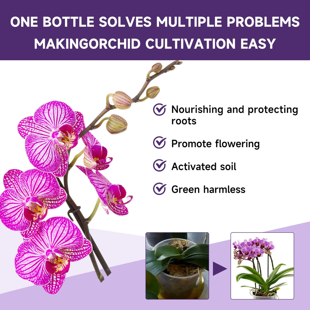 50ml Orchid Special Liquid Flower Fertilizer Hydroponic Garden Plant Nutrition Growth Supplement Compound Nutrients for Flowers