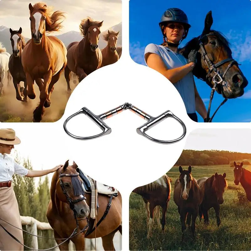 Filete Snaffle D-Ring con Cobre para Caballo | Articulación Simple | Ecuestre 🐎