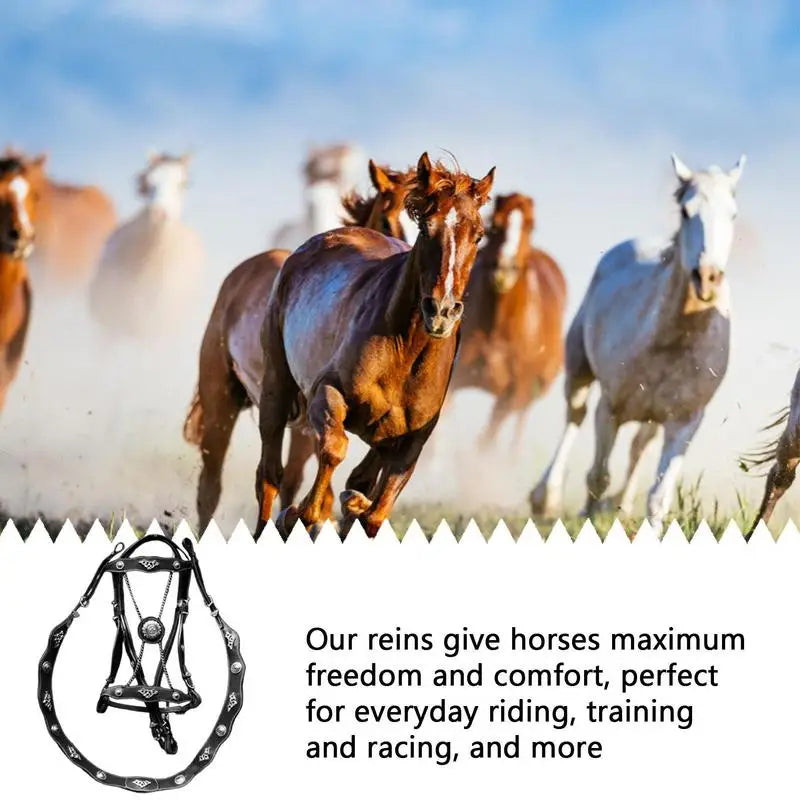Cuerda de Guía para Caballo PU Ajustable | Hebilla Giratoria | Ecuestre 🐎