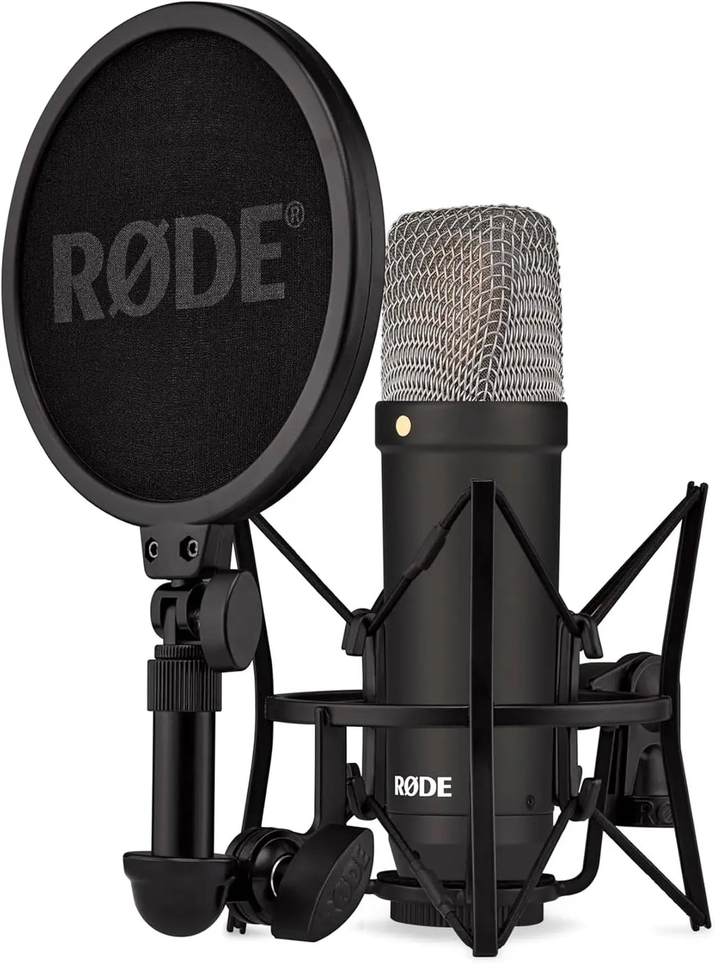 Large-Diaphragm Condenser Microphone with Shock Mount, Pop Filter, XLR Cable for Music, Vocals, Streaming