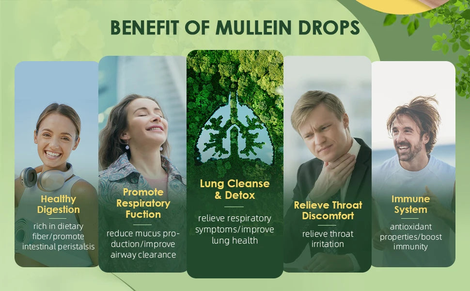 Mullein Drops for Lungs - Mullein Leaf Extract for Lung Detox & Cleanse, Support for Respiratory, Immune, Digestive System