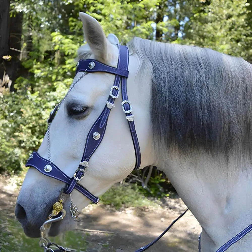 Cuerda de Guía para Caballo PU Ajustable | Hebilla Giratoria | Ecuestre 🐎